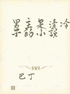 男主是清冷贵公子的小说