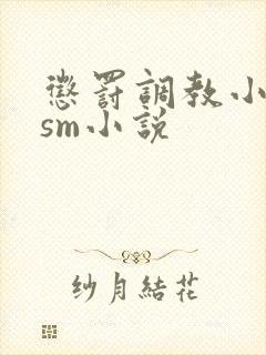 惩罚调教小母狗sm小说