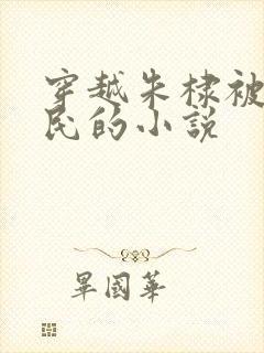 穿越朱棣被贬农民的小说