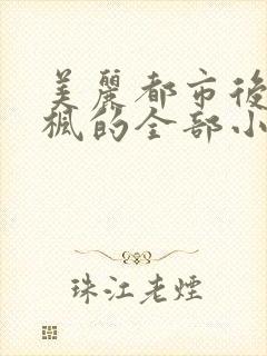 美丽都市后宫唐枫的全部小说