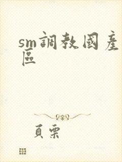 sm调教国产一区