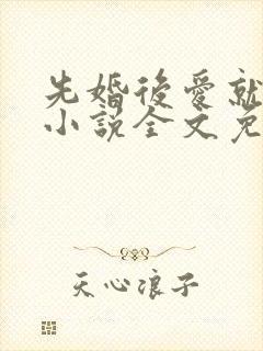 先婚后爱就她吧小说全文免费阅读最