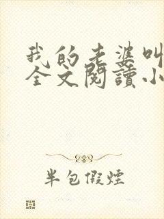 我的老婆叫武艳全文阅读小说