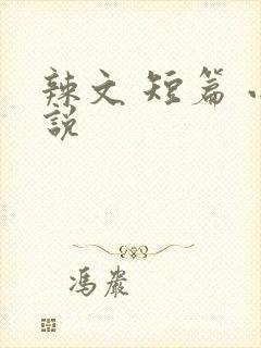 辣文 短篇 小说