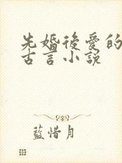 先婚后爱的穿越古言小说