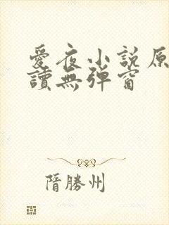 爱夜小说原文阅读无弹窗