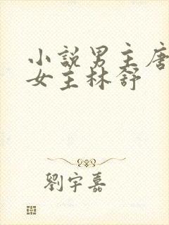 小说男主唐亦琛女主林舒封面