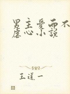 男主爱而不得的虐心小说