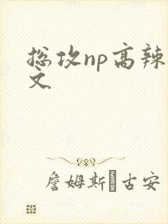 总攻np高辣h文