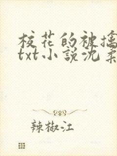 校花的被擒日常txt小说沈柔免费阅读