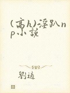 (高h)淫趴np小说