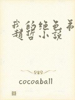 我的绝色弟媳妇赵哲小说