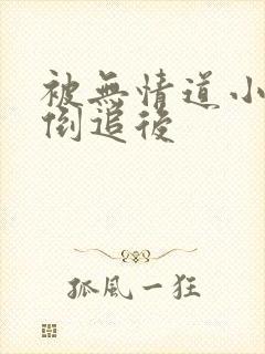 被无情道小师弟倒追后