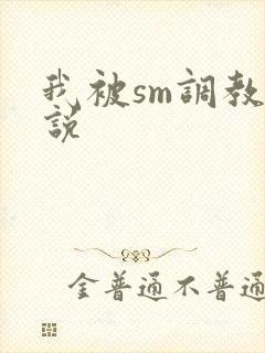 我被sm调教小说