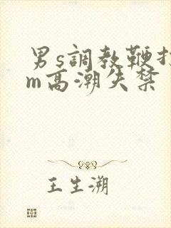 男s调教鞭打男m高潮失禁封面