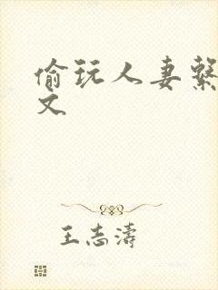 偷玩人妻系列h文封面