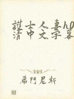 护士人妻h0高清中文字幕封面