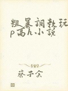 粗暴调教玩弄np高h小说封面