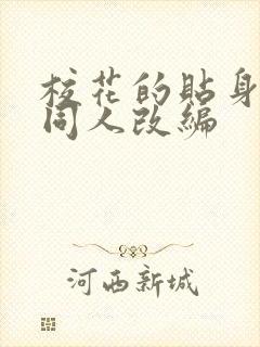 校花的贴身高手同人改编封面