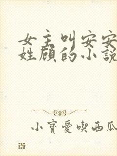 女主叫安安男主姓顾的小说