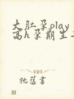 大肚孕play高h孕期生子