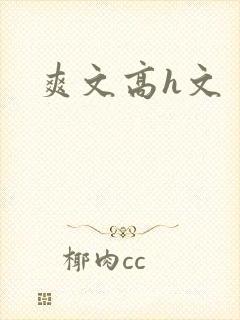 爽文高h文封面