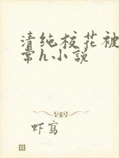 清纯校花被脔日常h小说封面