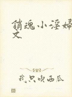 销魂小淫妇高h文