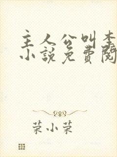 主人公叫李霖的小说免费阅读封面