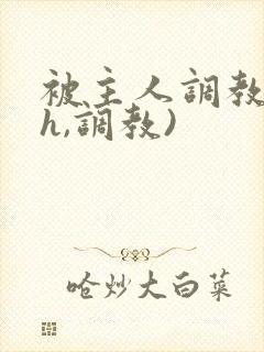 被主人调教(高h,调教)