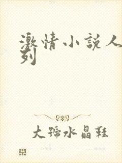 激情小说人妻系列封面