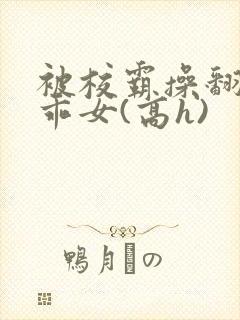 被校霸操翻的乖乖女(高h)