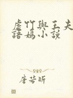 虚竹与王夫人王语嫣小说