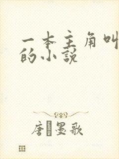 一本主角叫林萧的小说