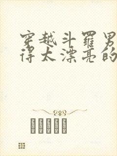 穿越斗罗男主长得太漂亮的小说