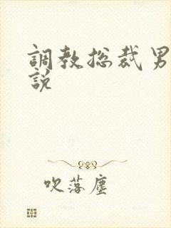 调教总裁男男小说