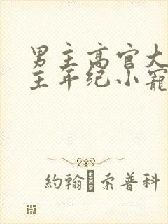 男主高官大叔女主年纪小宠文封面