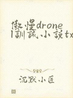 傲慢dronel训诫小说txt封面