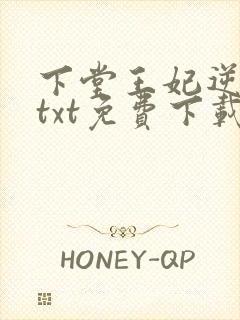 下堂王妃逆袭记txt免费下载