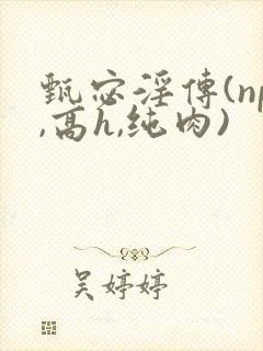 甄宓淫传(np,高h,纯肉)