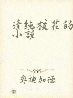 清纯校花的堕落小说