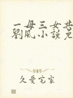 一母三女共一婿刘风小说免费阅读