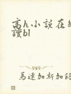 高h小说在线阅读bl