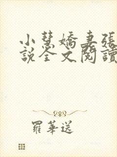 小慧娇妻张凯小说全文阅读