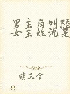 男主角叫陆霆琛女主姓沈是重生的