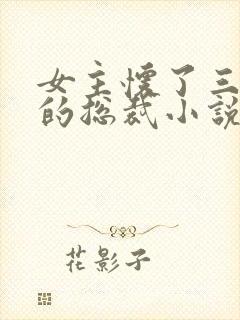 女主怀了三胞胎的总裁小说