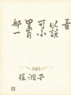 哪里可以看博君一肖小说