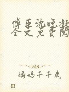 傅臣沈晚凝小说全文免费阅读封面