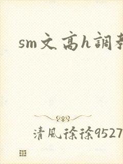sm文高h调教