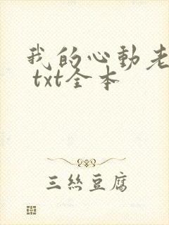 我的心动老板娘 txt全本